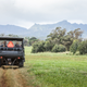 UTVs drive across Zuckerberg’s pastures in the direction of the mountains.